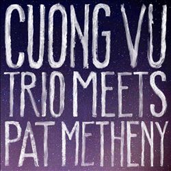 Tiny Little Pieces: A Profile of Cuong Vu by CJ Shearn
