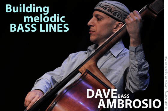 Building Melodic Bass Lines